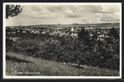 AK Dornstetten /Schwarzwald, Ortsansicht mit Blumenwiese
