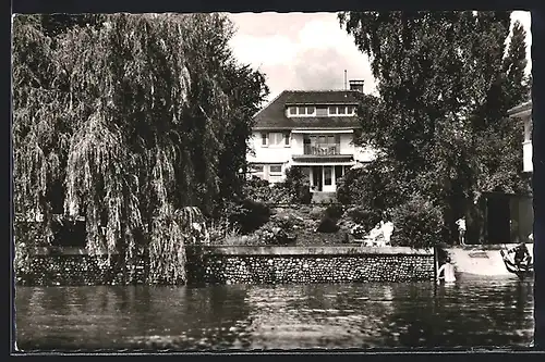 AK Nonnenhorn a. Bodensee, Gasthaus Schwaben mit Weide