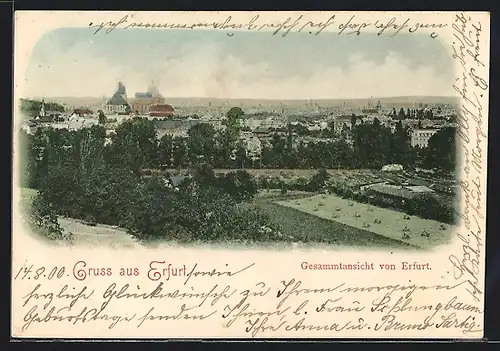 AK Erfurt, Gesamtansicht der Stadt mit Feldern