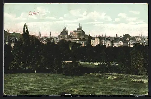 AK Erfurt, Blick auf den Dom von Feld mit Bäumen