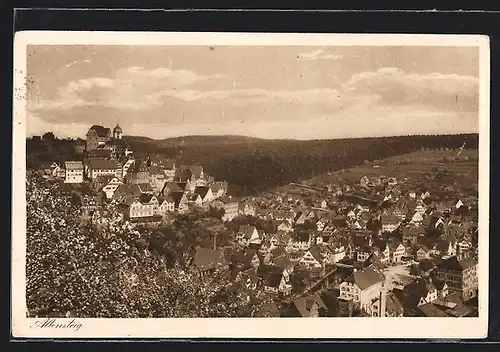 AK Altensteig, Ortsansicht mit Blick auf den Wald