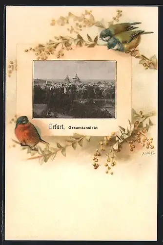 Passepartout-Lithographie Erfurt, Panoramablick auf die Stadt, Singvögel