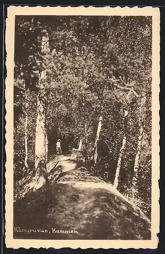 AK Kärrgruvan, Kammen