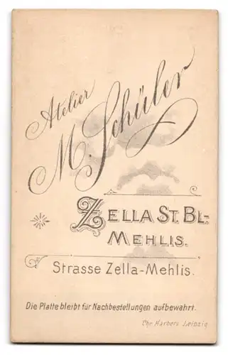 Fotografie Max Schüler, Zella St. Bl.-Mehlis, Strasse Zella-Mehlis, Bürgerliche in tailliertem Kleid mit Karomuster