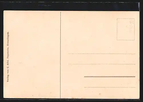 AK Ermatingen, Wiesen am Seeufer, Blick zum Ort