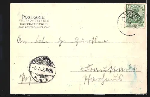 AK Dampfer Seeadler in Fahrt