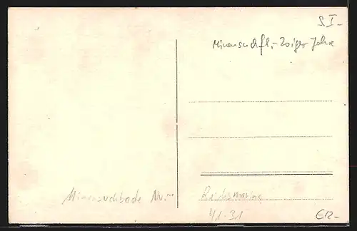 AK Minensuchboote 4, 5, 93, 111, 72, 129, 132, 157 der Reichsmarine