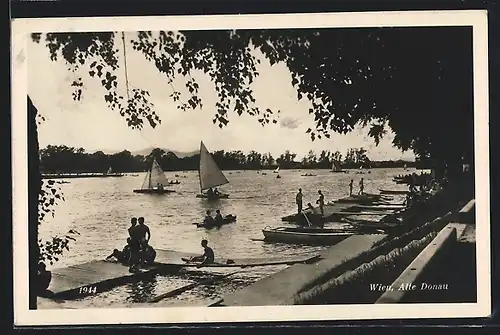 AK Wien, Partie an der alten Donau, Segel- und Ruderboote