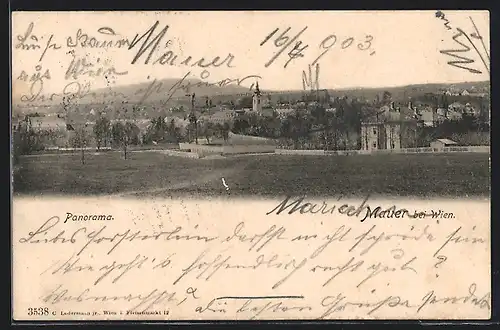 AK Wien-Mauer, Panorama von einer Freifläche aus