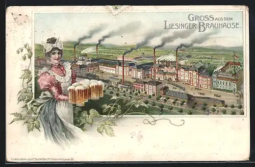 Lithographie Wien, Liesinger Brauhaus aus der Vogelschau