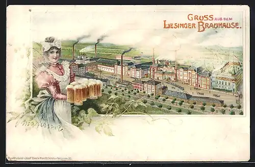 Lithographie Wien, Liesinger Brauhaus aus der Vogelschau