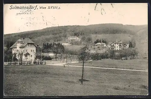 AK Wien-Salmannsdorf, Ortsansicht vom Felde aus