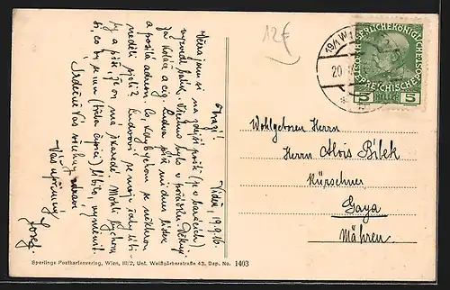 AK Wien-Grinzing, Feldpartie an der Sandgasse