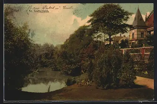 AK Erfurt, Häuser am Goldfischteich