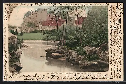 AK Erfurt, Goldfischteich am Karthäuserring mit Blick nach Osten