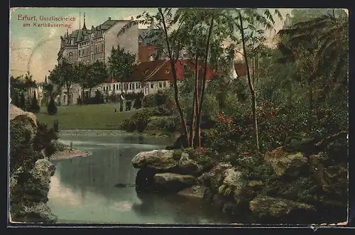 AK Erfurt, Goldfischteich am Karthäuserring im Sommer