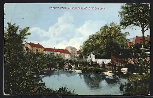 AK Erfurt, Goldfischteich am Karthäuserufer