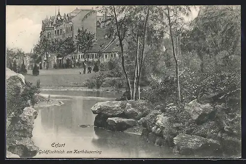 AK Erfurt, Menschen am Goldfischteich am Karthäuserring