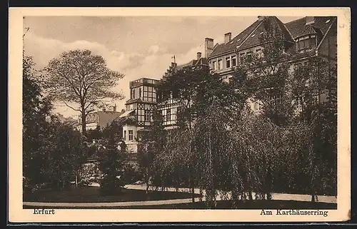 AK Erfurt, Häuser am Karthäuserring
