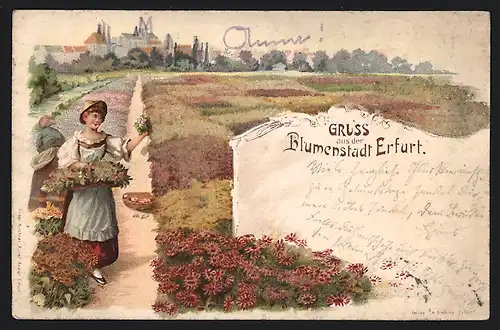 Lithographie Erfurt, Frauen auf Blumenfeld vor Stadtpanorama