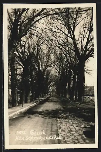 AK Erfurt, Alte Schiesshausallee