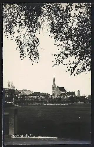 AK Hammelburg, Rathaus und Brunnen, Teilansicht von einem Feld aus