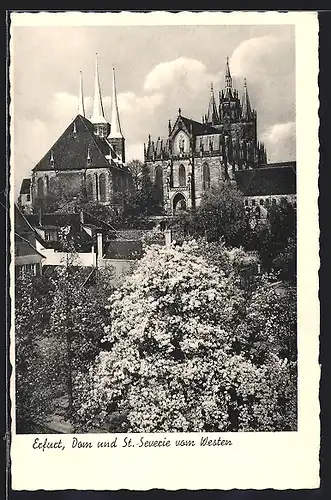 AK Erfurt, Dom und St. Severie vom Westen