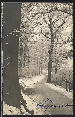 AK Erfurt, verschneite Partie im Steigerwald