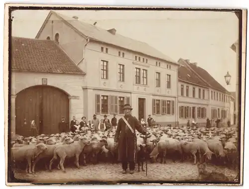 Fotografie unbekannter Fotograf und Ort, Schäfer / Schafhirte treibt seine Schaf Herde durch den Ort