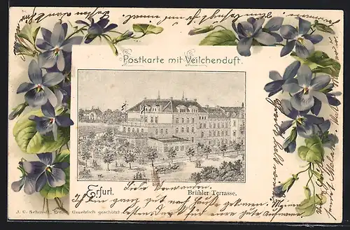 Künstler-AK Erfurt, Gasthaus Bürhler Terrasse, Veilchen, Passepartout