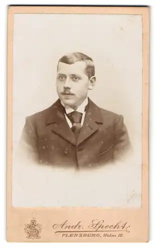 Fotografie Andr. Specht, Flensburg, Holm 12, Junger Mann mit Anstecknadel an der Krawatte und leichtem Schnäuzer