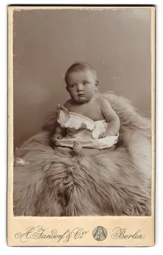 Fotografie A. Standorf & Co., Berlin, Kottbusserdamm 1-2, Baby im weissen Gewand mit vorwurfsvollem Blick