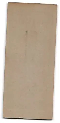 Fotografie R. Klau, Cottbus, Junger Mann mit weitem Anzug, einer Krawatte und einem Schnurrbart