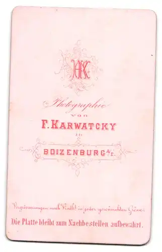 Fotografie F. Karwatcky, Boizenburg a. E., Junger Mann in Sakko mit auffälligem Revers und Fliege, mit Schnurrbart