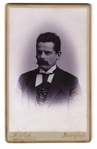Fotografie F. Petz, Duderstadt, Steinstrasse 49a, Bürgerlicher Mann mit breiter Krawatte und prägnantem Schnurrbart