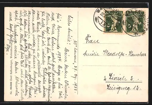 AK Walzenhausen, Ortsansicht aus der Vogelschau