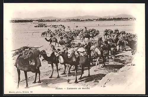 AK Biskra, Caravane en marche