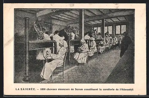 AK Brüssel / Bruxelles, Arbeiterinnen im Pferdestall, Reklame für Hémostyl du Dr. Roussel