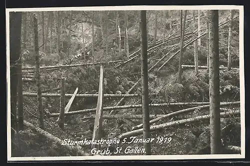 AK Grub, Strumkatastrophe 1919, Umgefallene Bäume im Wald, Unwetter