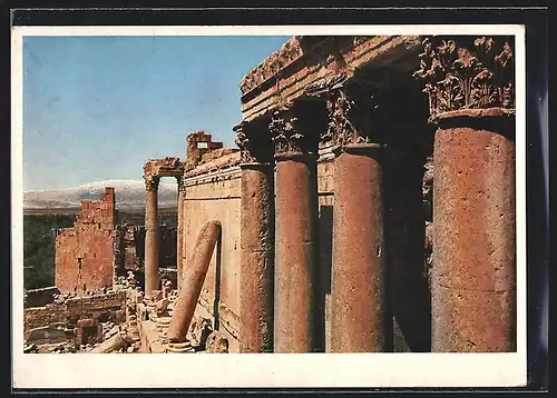 AK Baalbek, Temple de Baccchus, coté sud
