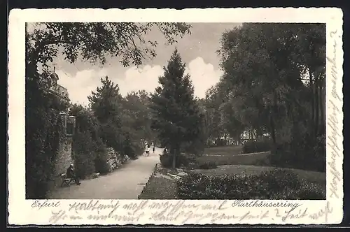 AK Erfurt, Partie am Karthäuserring