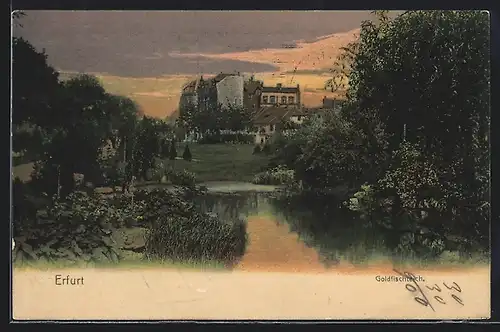 AK Erfurt, Partie am Goldfischteich