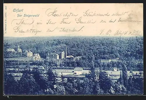 AK Erfurt, Steigerwald-Blick aus der Vogelschau