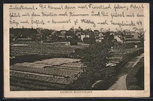 AK Erfurt, Erfurter Blumenfelder aus der Vogelschau