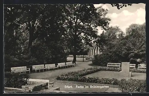 AK Erfurt, Partie im Brühlergarten, Bänke, Denkmal