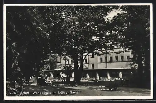 AK Erfurt, Wandelhalle im Brühler Garten