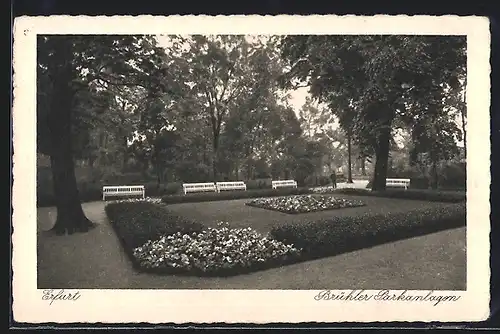 AK Erfurt, Brühler Park, Beetanlage mit Bänken