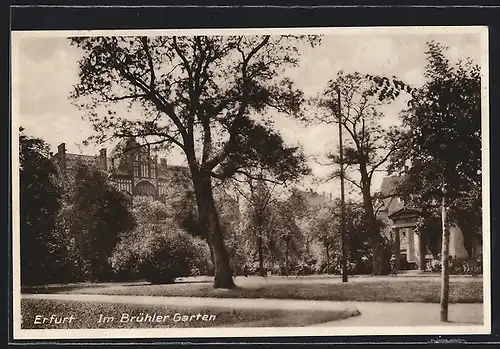 AK Erfurt, Im Brühler Garten, mit Gebäuden