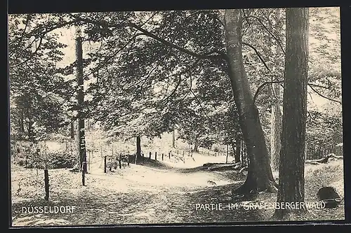 AK Düsseldorf, Partie im Grafenbergerwald