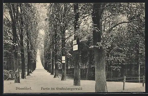 AK Düsseldorf, Allee im Grafenbergerwald